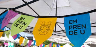 Dos proyectos de la UNNE representan a la región en la Final Nacional de “Emprende U”
