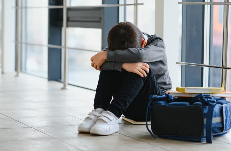 Acoso escolar: “Los hechos de violencia se acrecientan y son de una gravedad cada vez mayor”