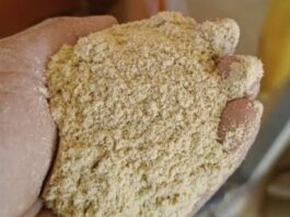 Transformar un subproducto del arroz en alimento balanceado para bovinos, la propuesta de egresadas de la UNNE