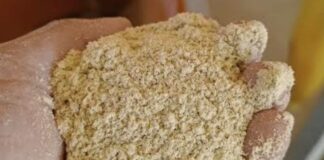 Transformar un subproducto del arroz en alimento balanceado para bovinos, la propuesta de egresadas de la UNNE