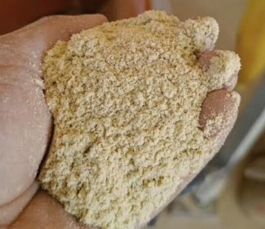 Transformar un subproducto del arroz en alimento balanceado para bovinos, la propuesta de egresadas de la UNNE