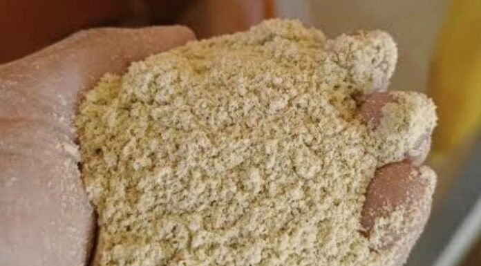 Transformar un subproducto del arroz en alimento balanceado para bovinos, la propuesta de egresadas de la UNNE