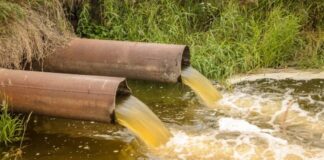 ESPECIALISTA EN LA UNNE «Nuevas tecnologías para tratar aguas servidas también pueden generan valor agregado con nutrientes y bioenergía”