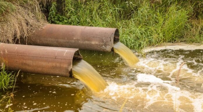 ESPECIALISTA EN LA UNNE «Nuevas tecnologías para tratar aguas servidas también pueden generan valor agregado con nutrientes y bioenergía”