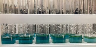 Ciencia y Tecnología Alcaloides: estudiante busca método sencillo y económico para cuantificar estas sustancias de origen natural