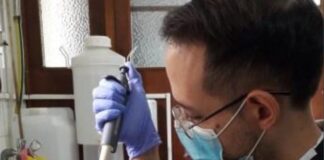 Ciencia y Tecnología Evalúan la relación de síntomas con resistencia inmunológica en casos de leishmaniasis visceral canina