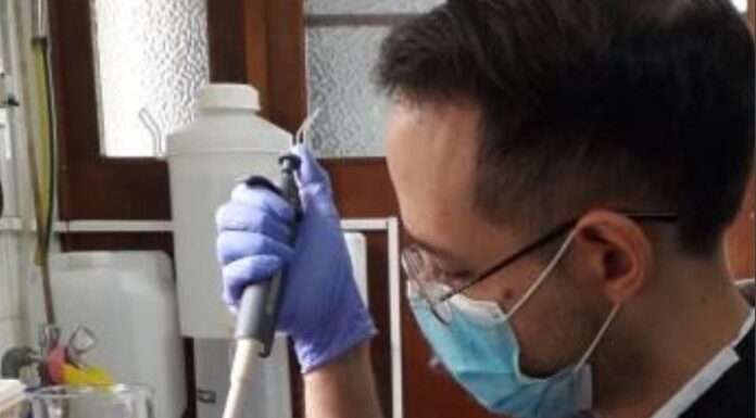 Ciencia y Tecnología Evalúan la relación de síntomas con resistencia inmunológica en casos de leishmaniasis visceral canina