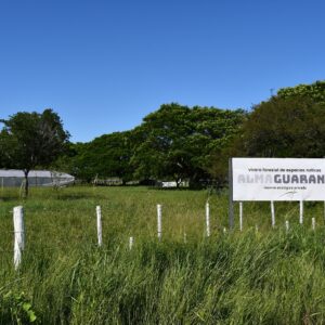 Alma Guarani