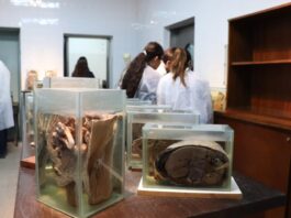 Se viene el LX Congreso Argentino de Anatomía y XXX Congreso de la Asociación de Ciencias Morfológicas de Corrientes