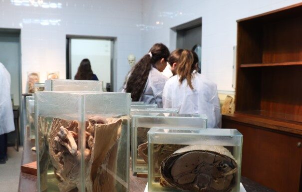 Se viene el LX Congreso Argentino de Anatomía y XXX Congreso de la Asociación de Ciencias Morfológicas de Corrientes