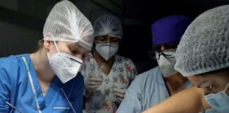 Ciencias Veterinarias: grupo de investigación da forma a los primeros protocolos de anestesia en serpientes del NEA