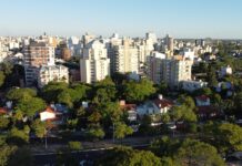 AMBIENTE SUSTENTABLE Estiman la captura de carbono y producción de oxígeno del arbolado de la zona costanera de Corrientes