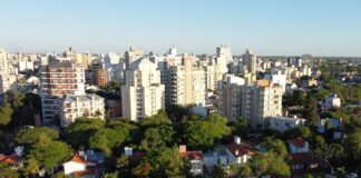 AMBIENTE SUSTENTABLE Estiman la captura de carbono y producción de oxígeno del arbolado de la zona costanera de Corrientes