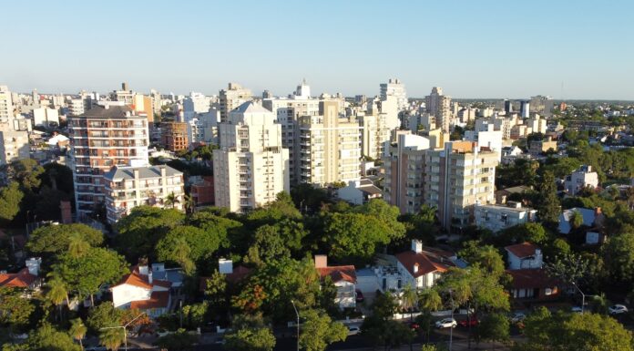 AMBIENTE SUSTENTABLE Estiman la captura de carbono y producción de oxígeno del arbolado de la zona costanera de Corrientes