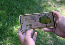 Presentaron una guía para favorecer el conocimiento sobre el arbolado urbano de la ciudad de Corrientes