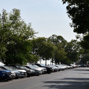 Arbolado de Costanera 1