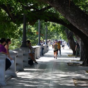 Arbolado de Costanera 14