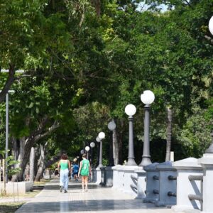 Arbolado de Costanera 3