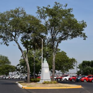 Arbolado de Costanera 5