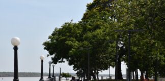 CIENCIAS AGRARIAS Recomiendan introducir mayor diversidad arbórea en la Costanera correntina