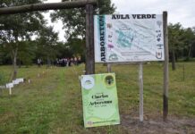 DESARROLLO SOSTENIBLE Declararon de interés patrimonial al Arboretum, el «aula verde” de la UNNE