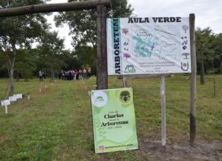 EN LA FACULTAD DE CIENCIAS AGRARIAS Arboretum FCA-UNNE: un refugio de sólo dos hectáreas que cumple 10 años de promoción ambiental