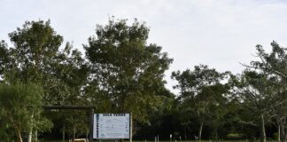 Programa ESCALA El Arboretum de la UNNE se proyecta internacionalmente como modelo de conservación de flora nativa