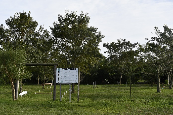 Arboretum Aula Verde