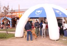 GESTIÓN Y COMPROMISO SOCIAL Con eje en los impactos del Covid y los ODS, se ponen en marcha los 90 proyectos de extensión de la UNNE