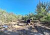 Desde la arqueología, buscan rescatar y poner en valor los asentamientos coloniales del Chaco