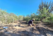 REVERTIR BRECHAS DE CONOCIMIENTO Desde la arqueología, buscan rescatar y poner en valor los asentamientos coloniales del Chaco