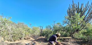 REVERTIR BRECHAS DE CONOCIMIENTO Desde la arqueología, buscan rescatar y poner en valor los asentamientos coloniales del Chaco
