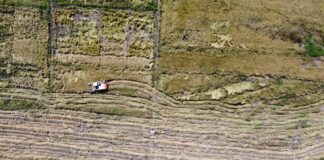 EN EL PREDIO ERAGIA Conocé el trabajo educativo y emprendedor que se realiza en “La Arrocerita” de Ciencias Agrarias