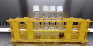 Buscan aprovechar subproductos de la industria arrocera y cervecera para la alimentación en piscicultura