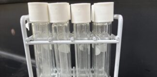 VINCULACIÓN PRODUCTIVA Con tecnología de infrarrojo cercano, desarrollan modelo para predecir características culinarias del arroz