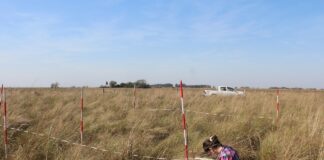 PROBLEMÁTICA MUNDIAL Para identificar posibles cambios, estudian la dinámica entre comunidades de bosques y ecosistemas abiertos en Corrientes