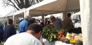 LA MIRADA DE UN ESPECIALISTA DE LA UNNE De la Buenas Prácticas Agrícolas a la Certificación de Frutas y Hortalizas, un camino ético y sustentable