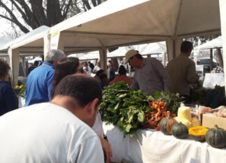 LA MIRADA DE UN ESPECIALISTA DE LA UNNE  De la Buenas Prácticas Agrícolas a la Certificación de Frutas y Hortalizas, un camino ético y sustentable