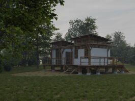 Elaboran propuesta de aplicación de una especie local de bambú para la construcción de viviendas rurales