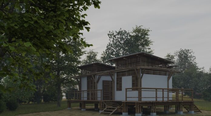 ESTUDIO EN LA UNNE Elaboran propuesta de aplicación de una especie local de bambú para la construcción de viviendas rurales