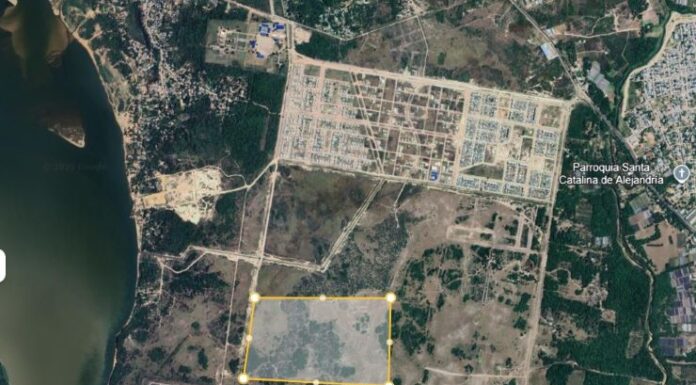 Flamante Ingeniero proyectó una planta solar que podría abastecer a 5.400 hogares en Corrientes Capital