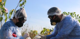 CIENCIA Y TÉCNICA La UNNE abrió convocatoria de becas para fortalecer la formación en investigación