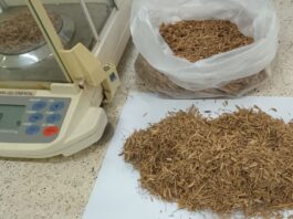 Promueven la producción de bioetanol con materias primas regionales