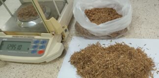 CIENCIA UNNE Promueven la producción de bioetanol con materias primas regionales