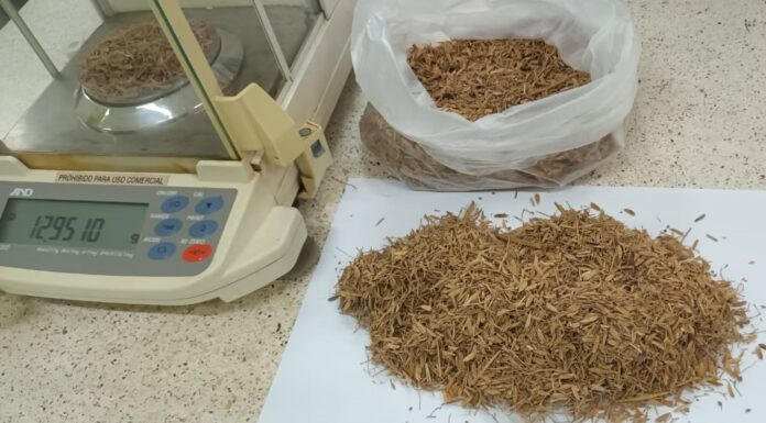 CIENCIA UNNE Promueven la producción de bioetanol con materias primas regionales