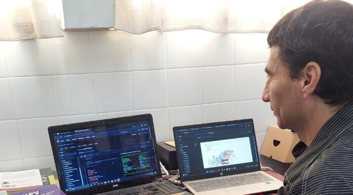 PROYECTO INTERDISCIPLINARIO «Biog5», un proyecto bioinformático que aporta al conocimiento de las variantes del virus del papiloma humano