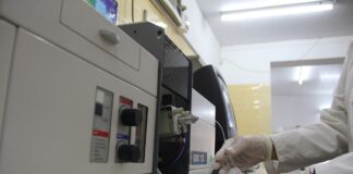 Estudian la “bioaccesibilidad” de minerales en distintos alimentos como base para mejorar el aporte de nutrientes