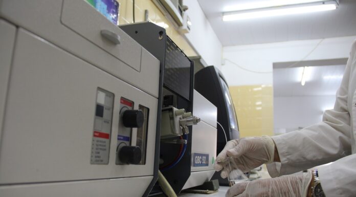 Estudian la “bioaccesibilidad” de minerales en distintos alimentos como base para mejorar el aporte de nutrientes