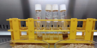 CON ASESORAMIENTO DE EXPERTOS La UNNE pone en marcha un proyecto para desarrollar la biotecnología en la región