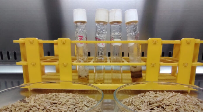 CON ASESORAMIENTO DE EXPERTOS La UNNE pone en marcha un proyecto para desarrollar la biotecnología en la región